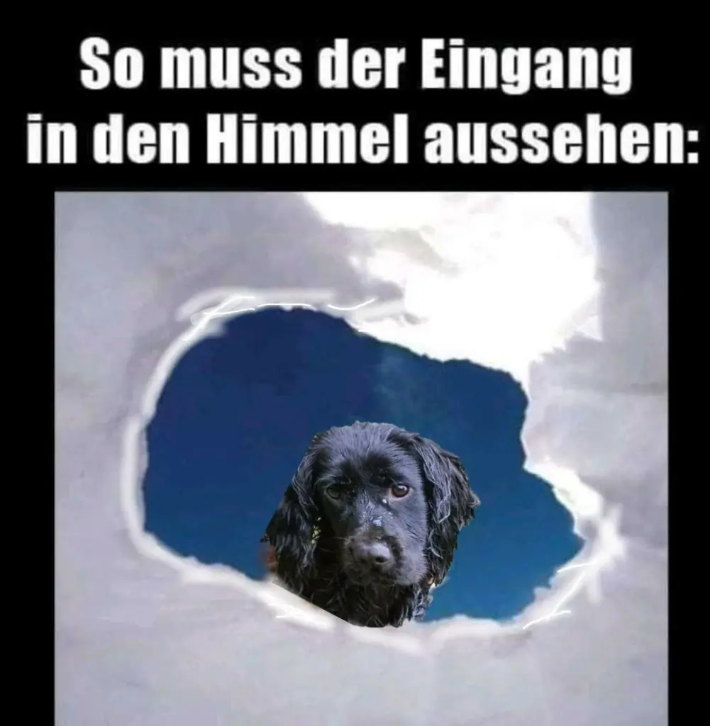 Andachtsbild von dein Frauchen