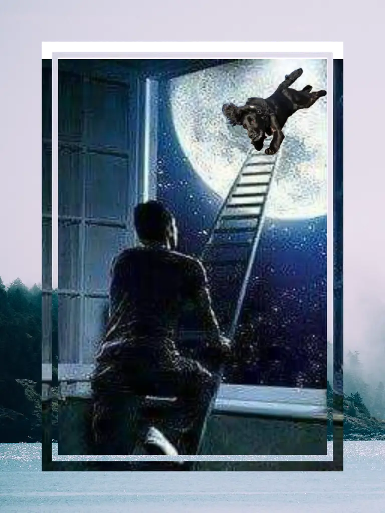 Andachtsbild von dein Frauchen