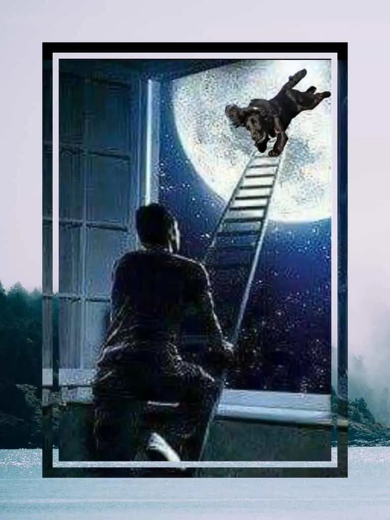 Andachtsbild von dein Frauchen