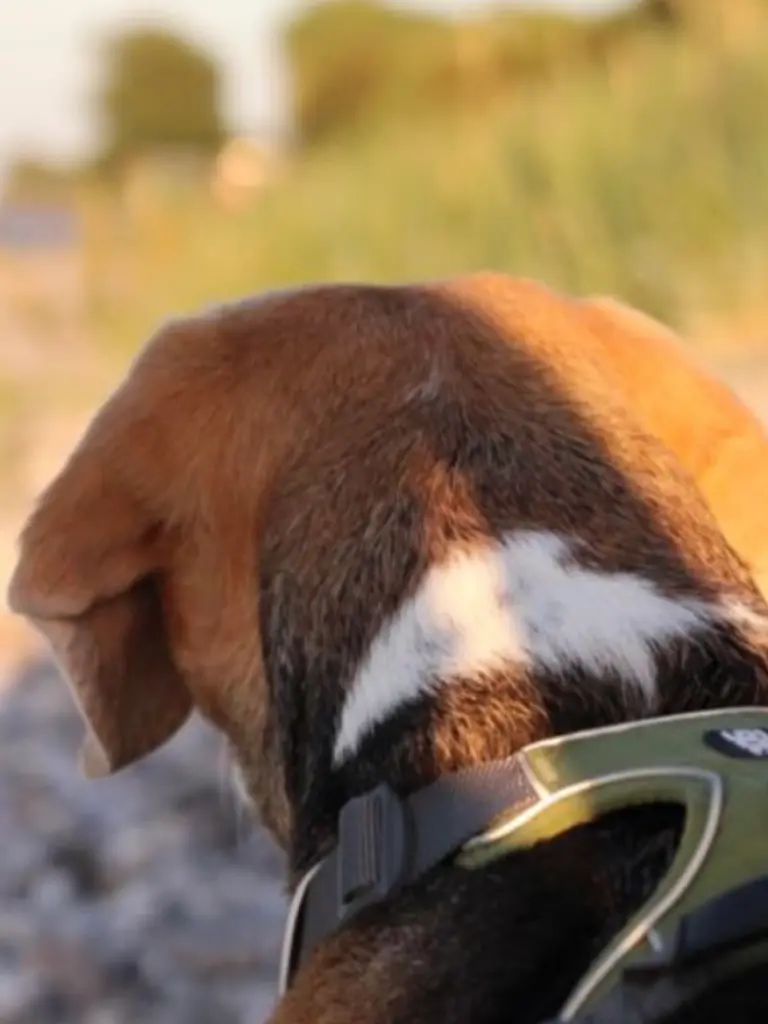 Condolence image of Wenke mit Lilli im Herzen ♥️ (28.11.23)