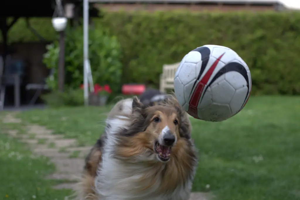 Condolence image of Annette und Wilfried