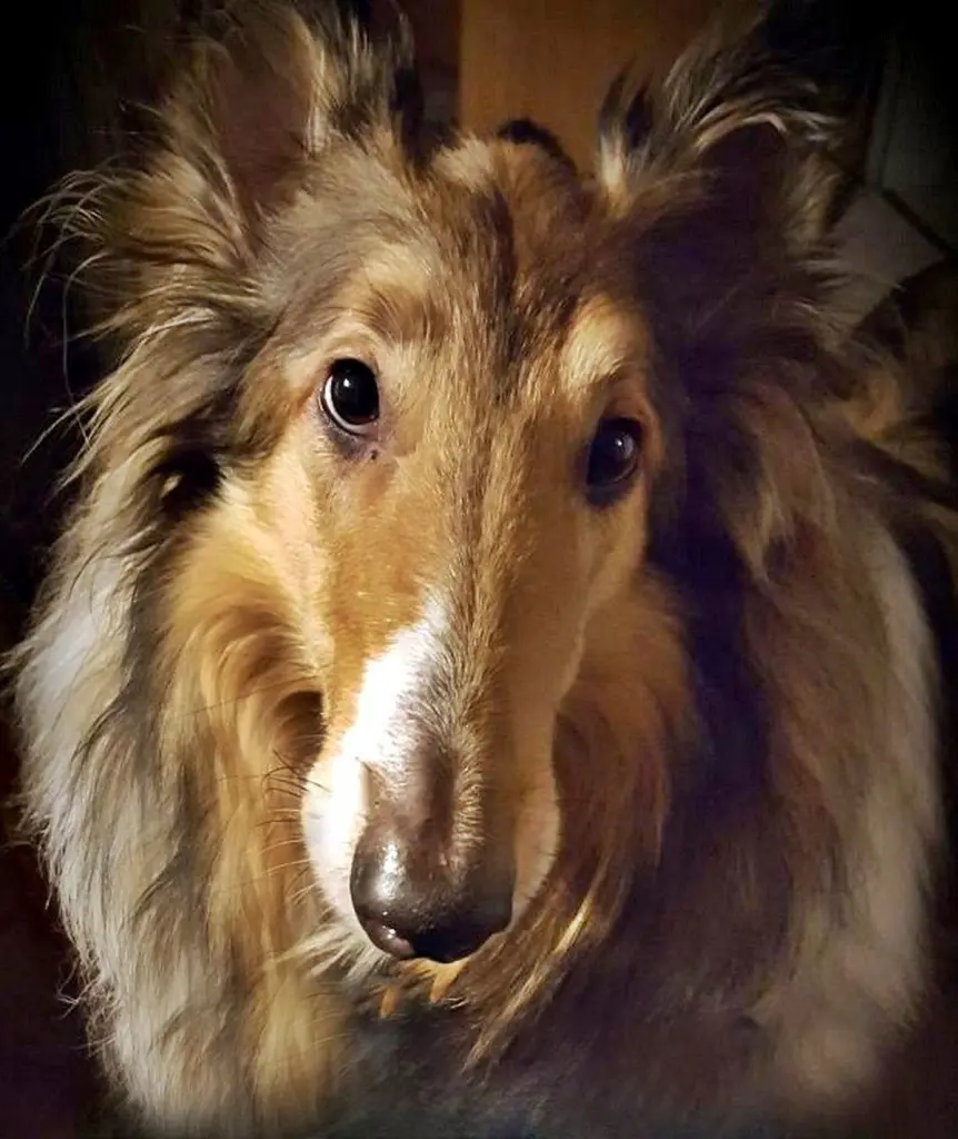 Andachtsbild von Annette und Wilfried