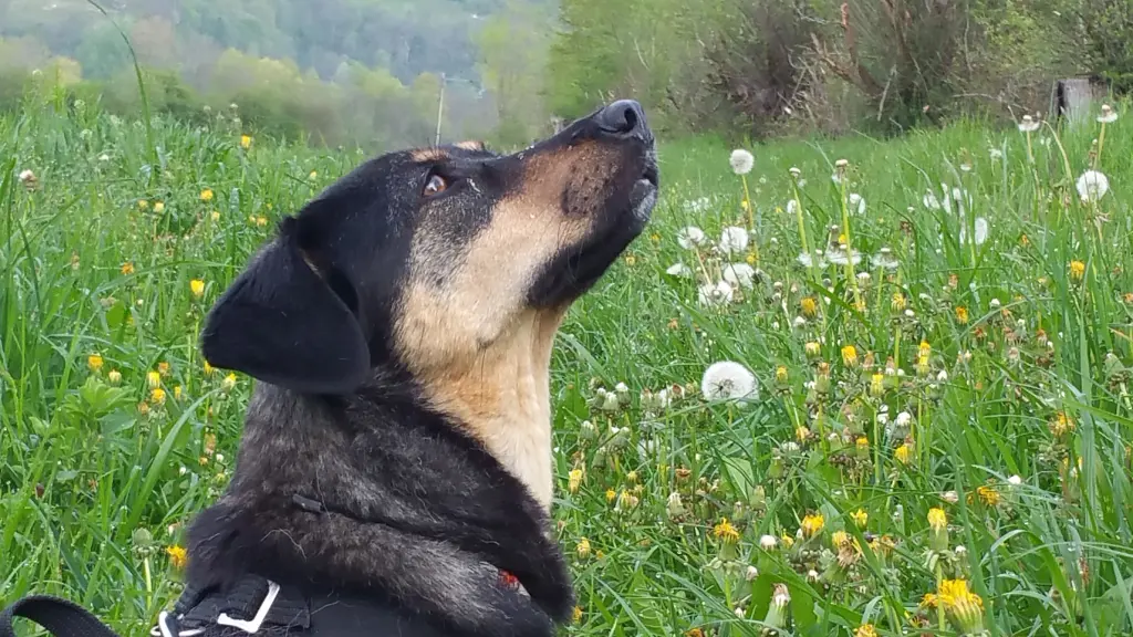 Andachtsbild von Konni mit Mayte tief im Herzen ❤️
