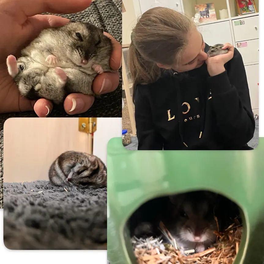 Andachtsbild von Milla mit Seelenhamster Murphy im Herzen!!!