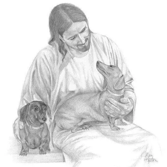 Condolence image of Cordula