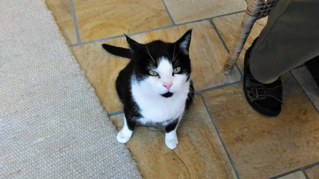 Condolence image of Ingrid mit Vini (3.11.2023) im Herzen