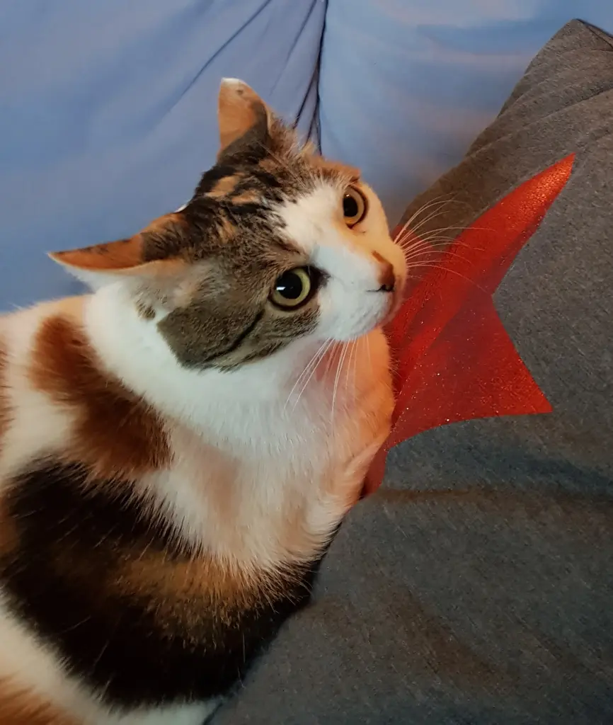 Andachtsbild von Ulla mit Trixi im Herzen ❤