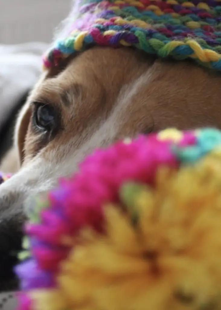 Andachtsbild von Wenke mit Lilli im Herzen ♥️