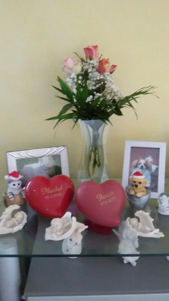 Condolence image of Reiner Kienapfel