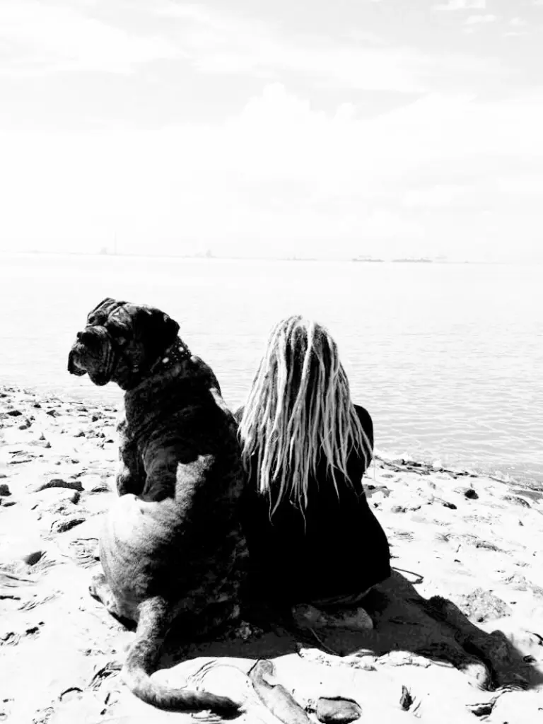 Image from Milow