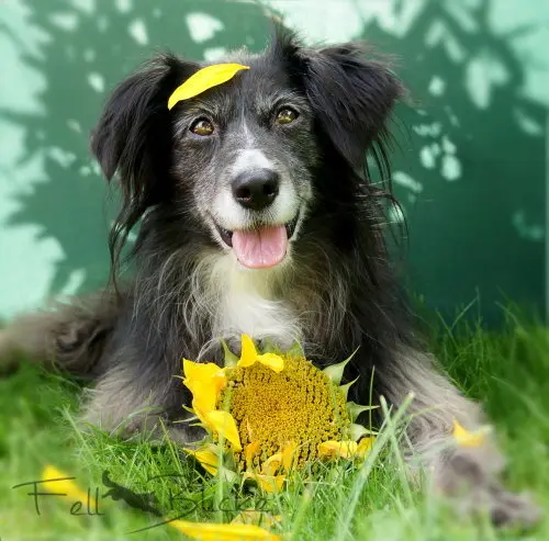 Condolence image of Unbekannt