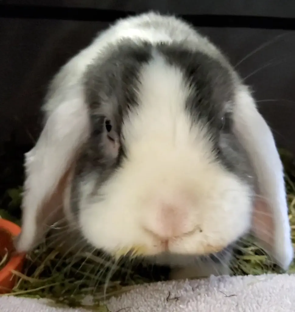 Condolence image of Anke Stöhr