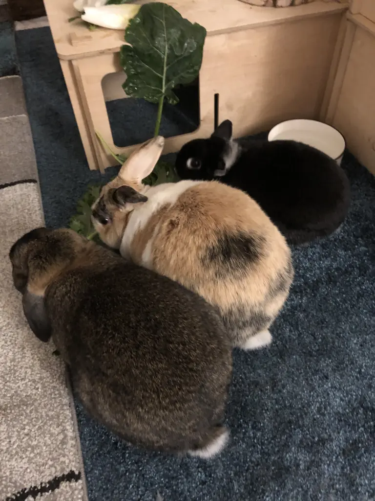 Condolence image of Natalie und Daniel 