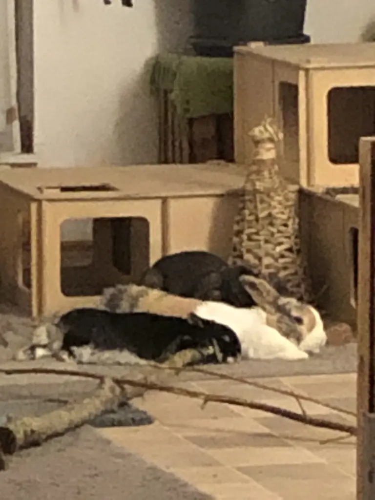 Condolence image of Daniel und Natalie