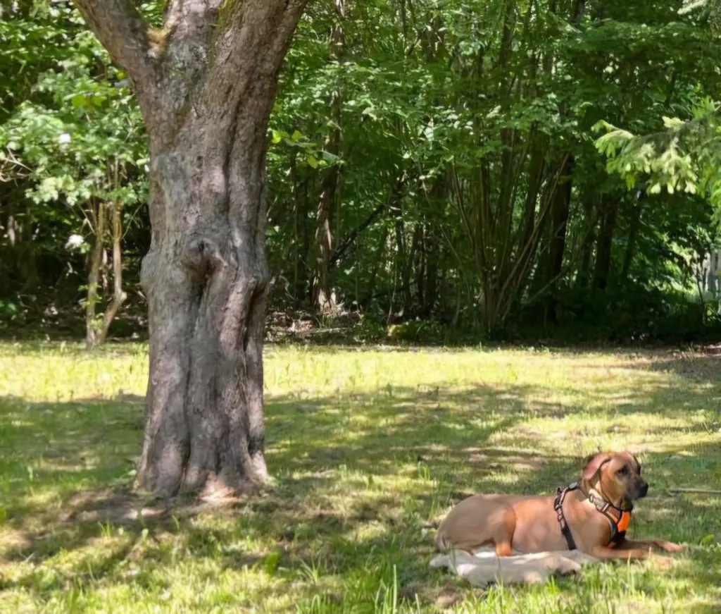 Andachtsbild von Paola und Antonia