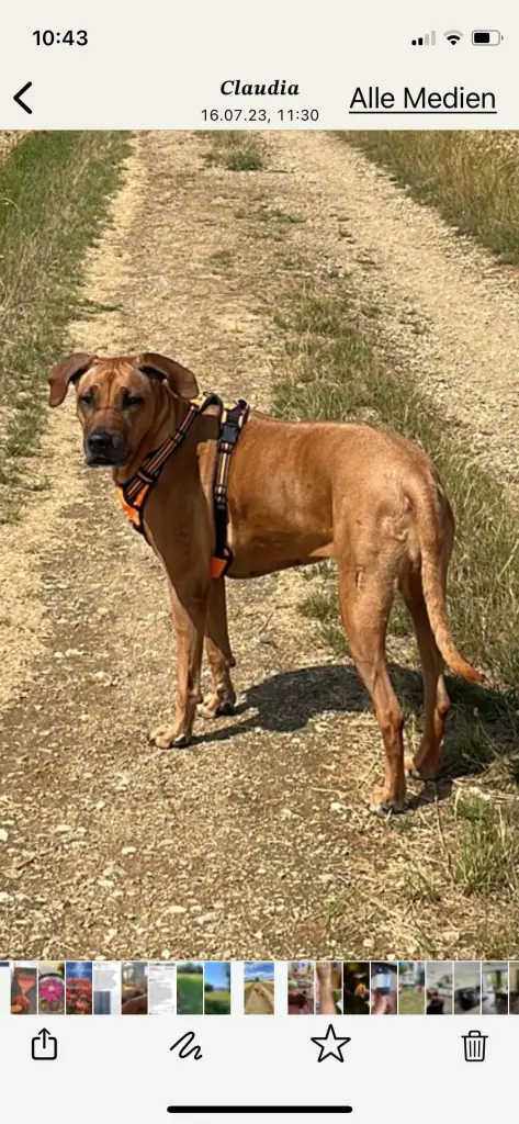 Andachtsbild von Karin