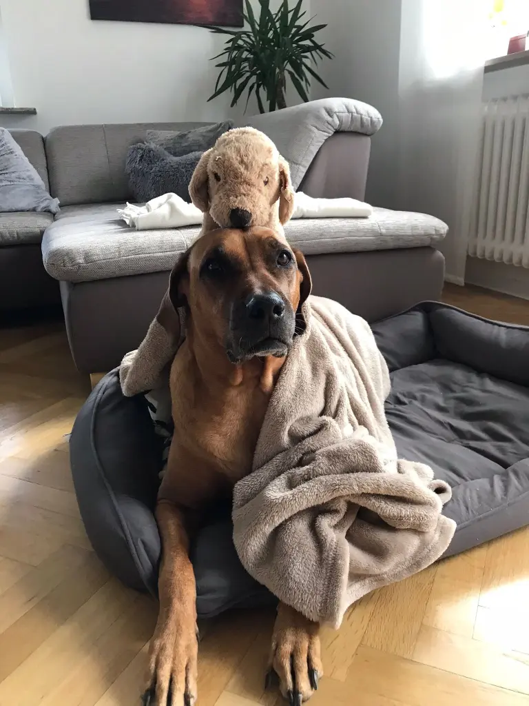 Andachtsbild von Leonie