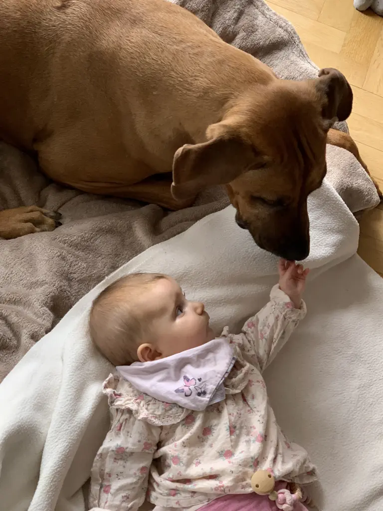 Andachtsbild von Tammi, Tim & Lucia