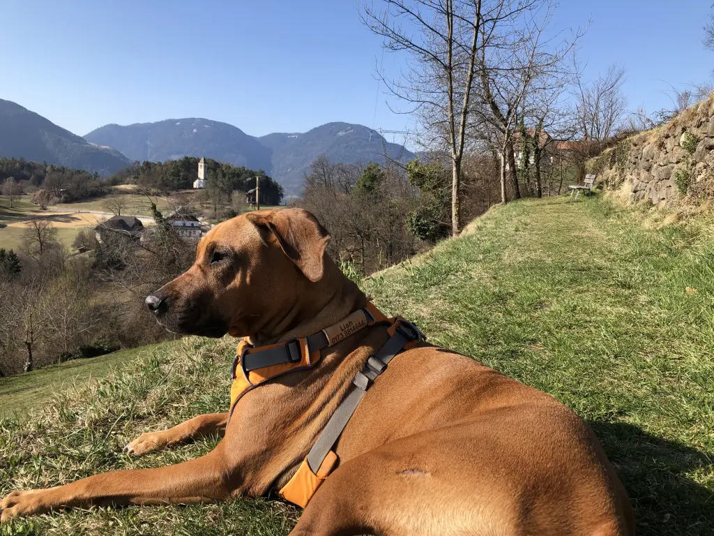 Andachtsbild von Claudia