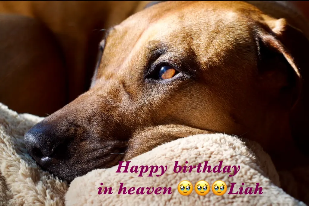 Andachtsbild von Claudia