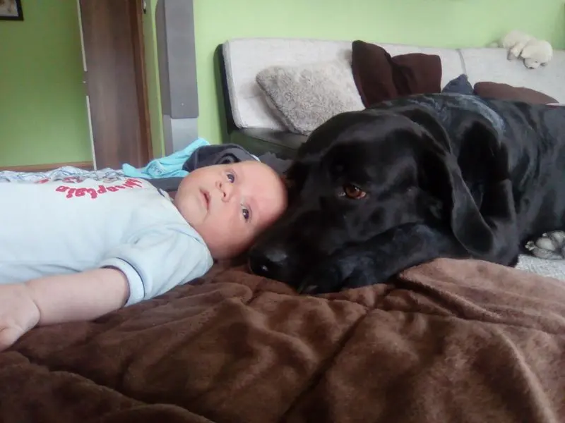 Andachtsbild von Kristin