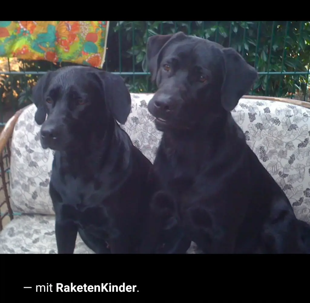 Andachtsbild von René