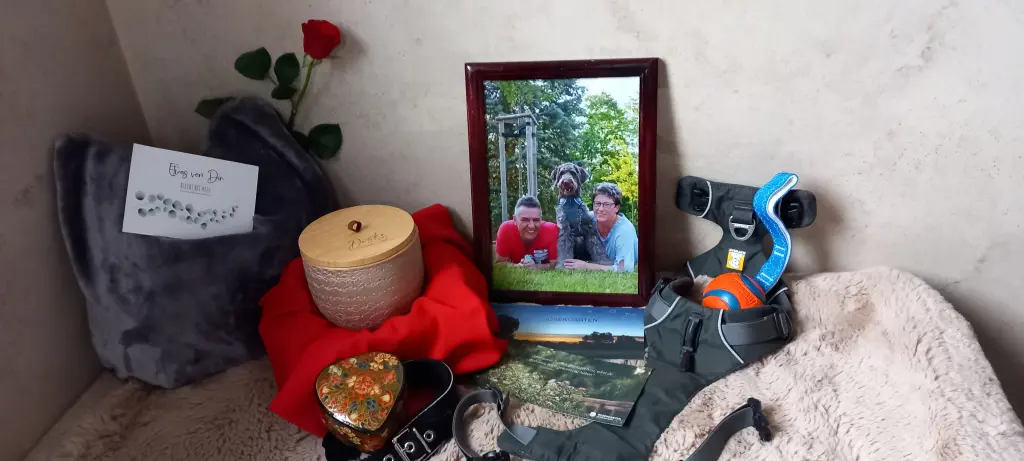 Bild von Dasko
