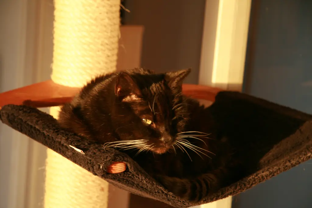 Image from Lara (...und Boris)