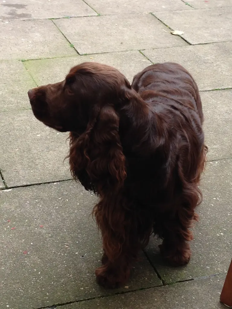 Andachtsbild von Kerstin mit Linus ❤️