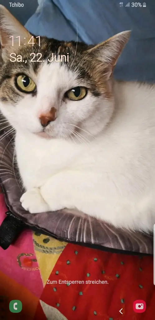 Andachtsbild von Ulla