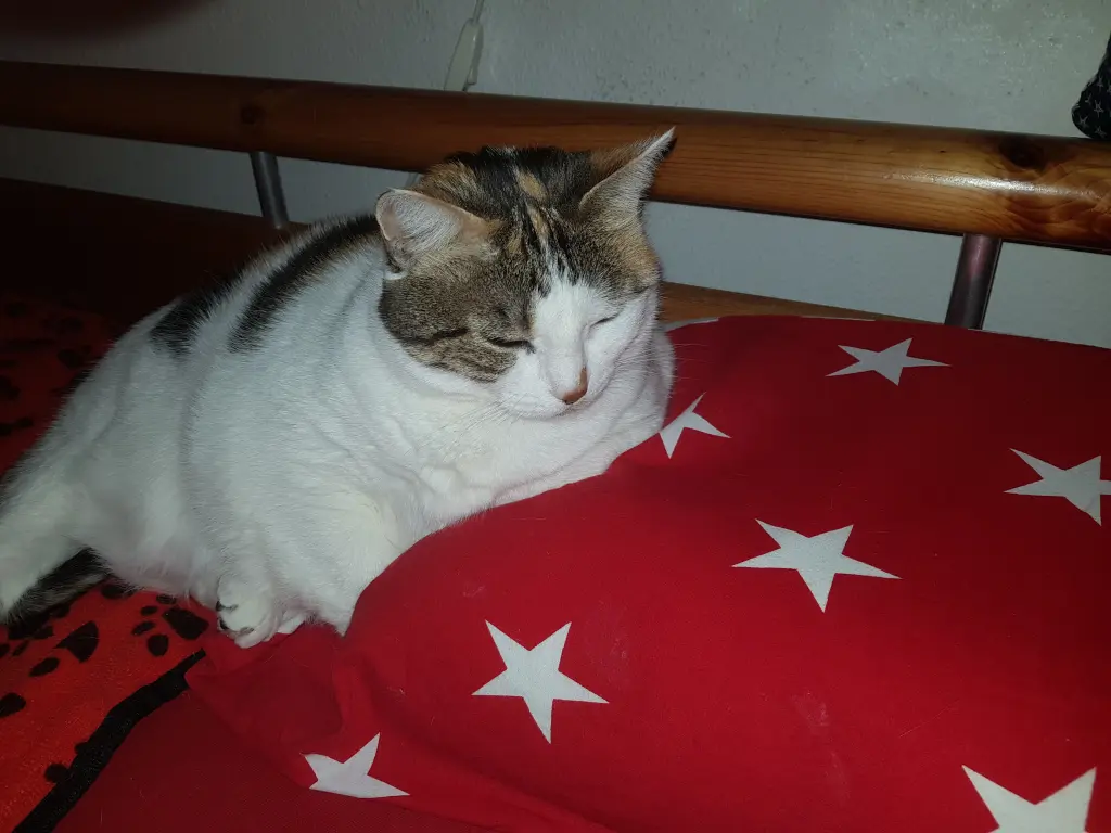 Andachtsbild von Ulla mit Trixi im Herzen