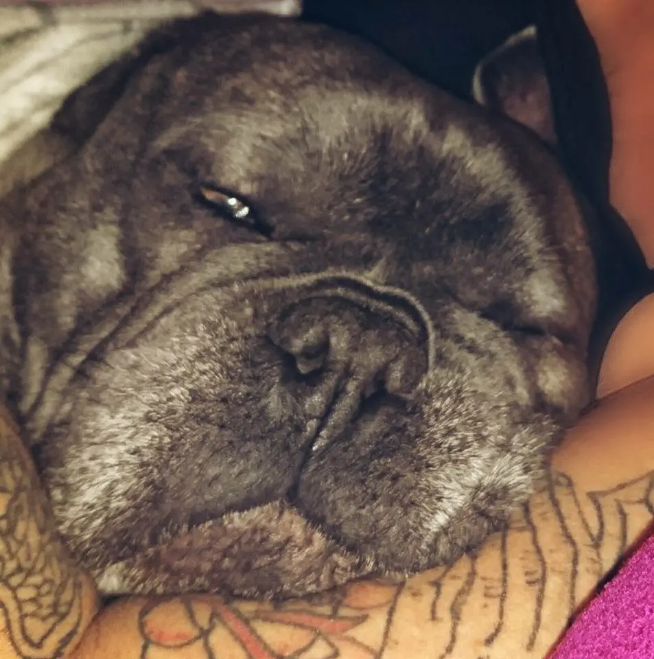 Condolence image of Sabrina