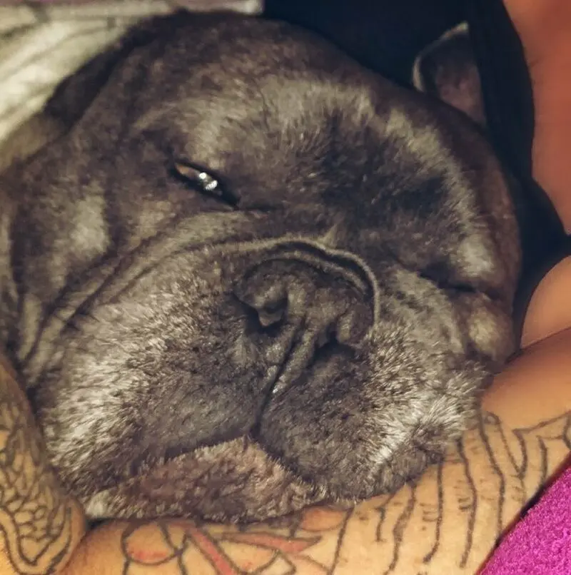 Condolence image of Sabrina