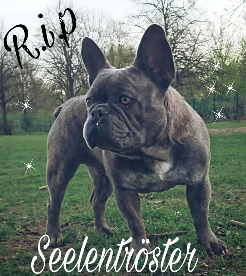 Image from Meilo