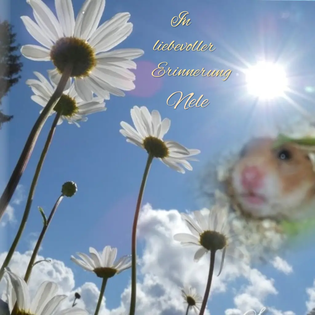 Andachtsbild von ❤️