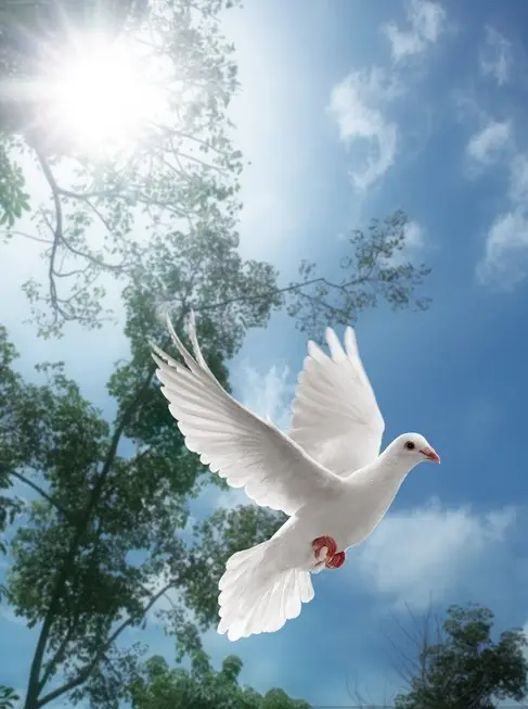 Andachtsbild von Gaby mit Snowy im Herzen 