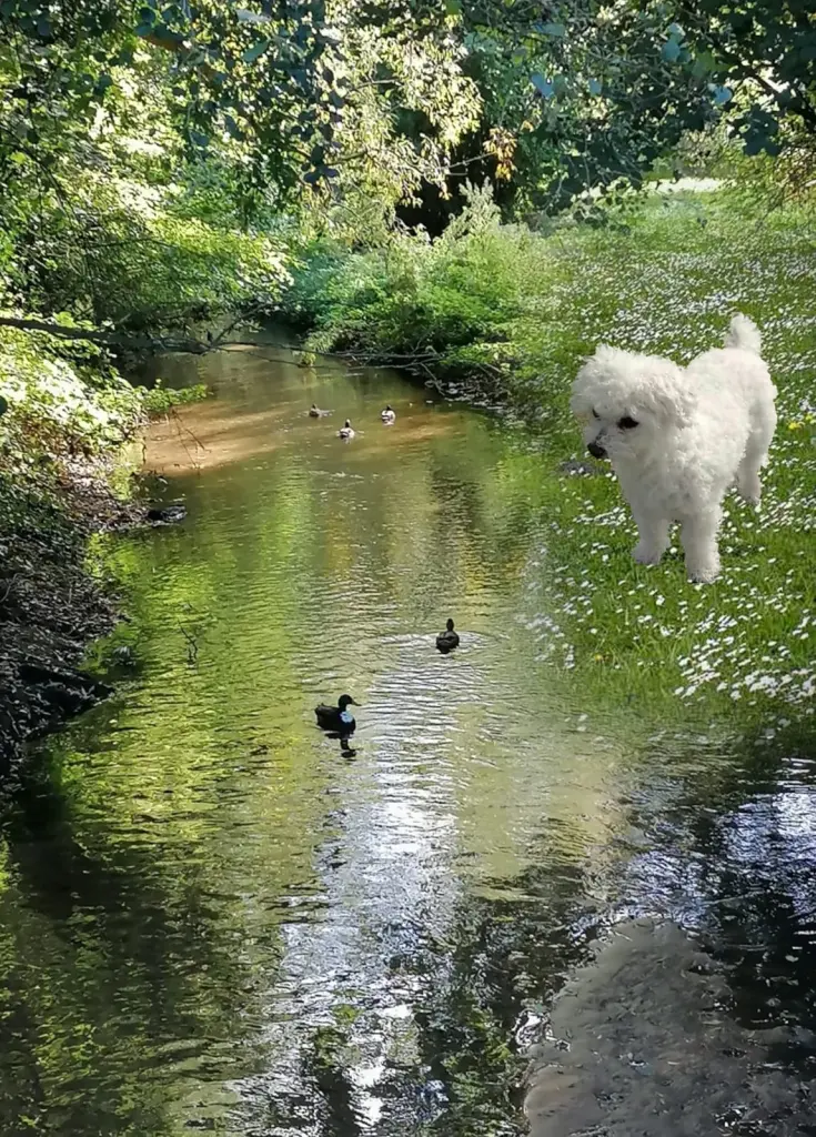 Andachtsbild von ♡Herzen♡