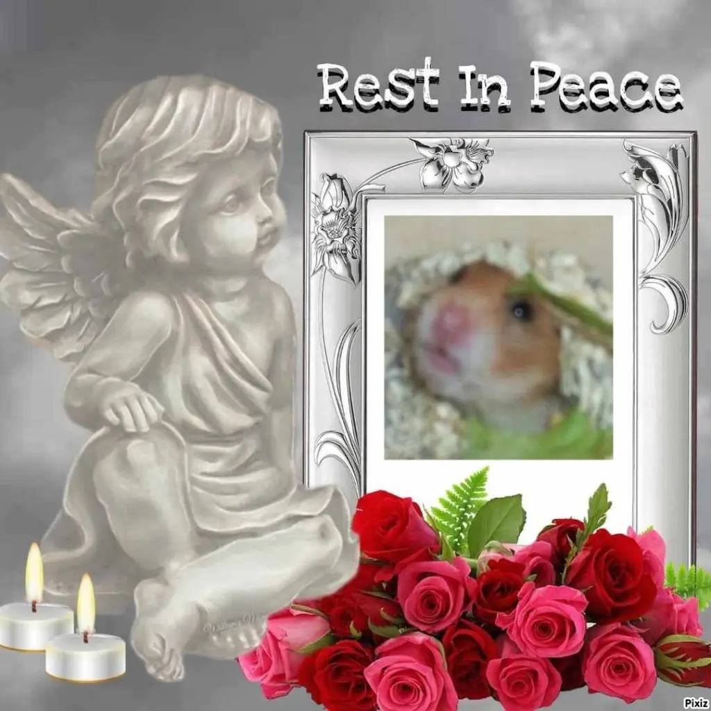 Andachtsbild von Sternchenpost ⭐