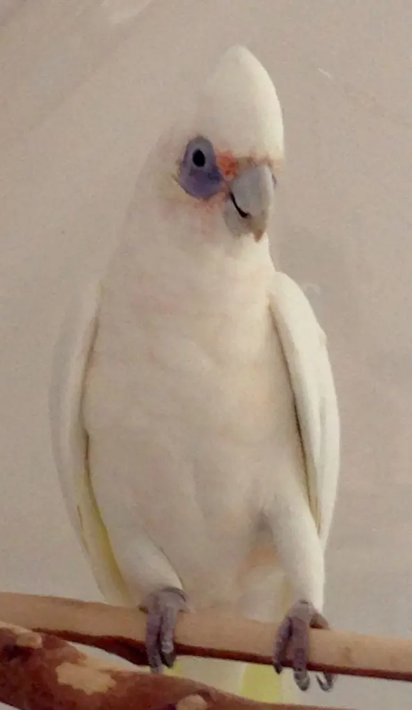 Condolence image of Andrea