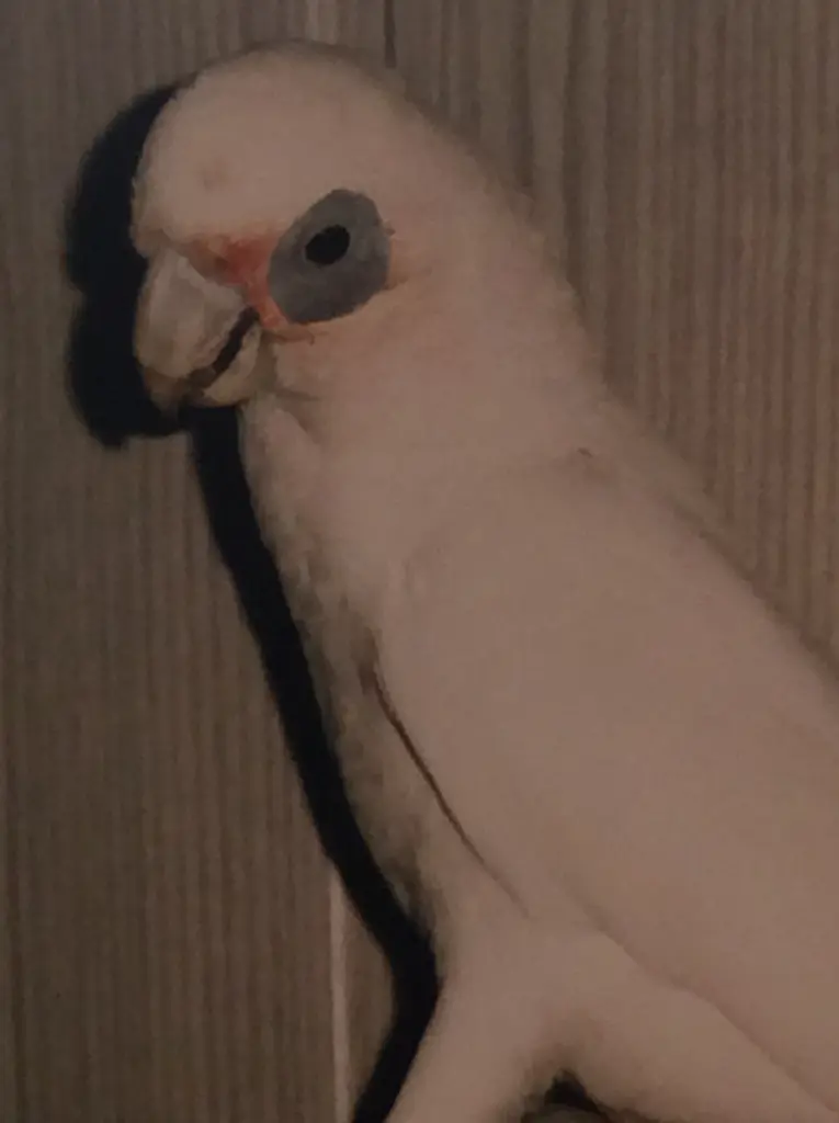 Condolence image of Andrea