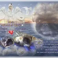 Image from mein unvergessener freund wuschel-bärli