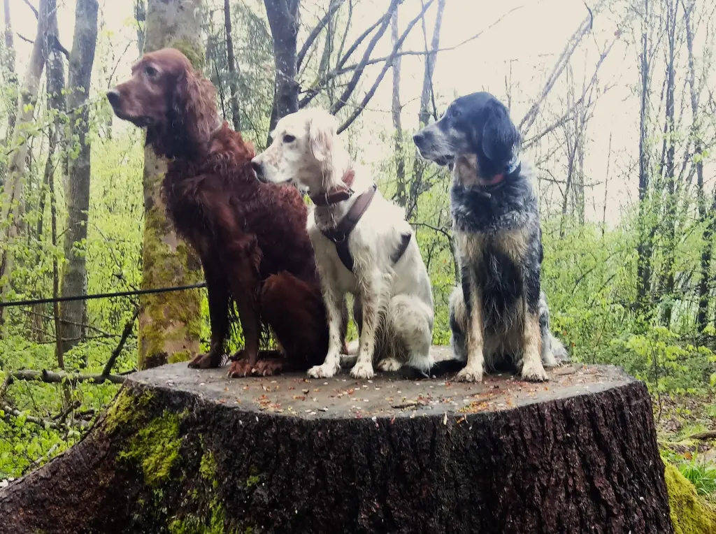 Condolence image of Rebecca