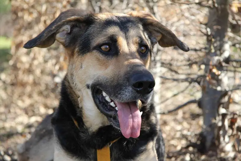 Condolence image of Cornelia Schönhardt