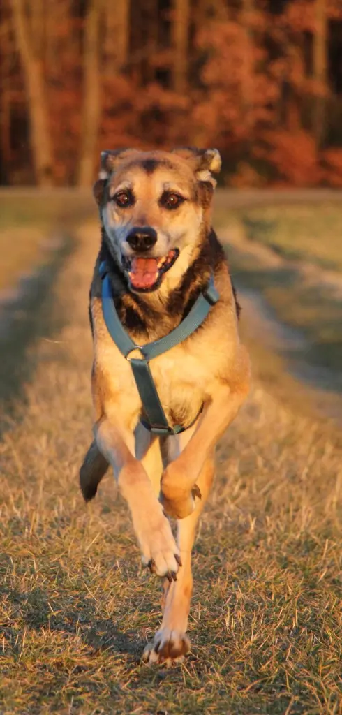 Condolence image of Cornelia Schönhardt