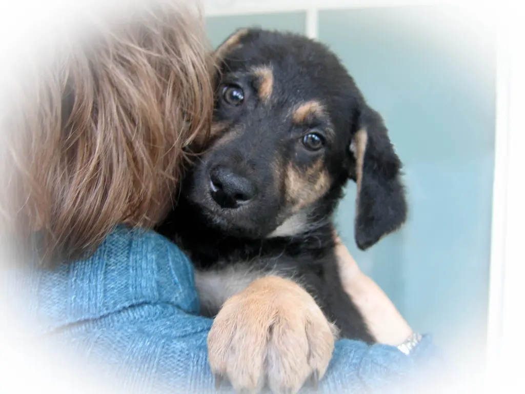 Condolence image of Cornelia Schönhardt