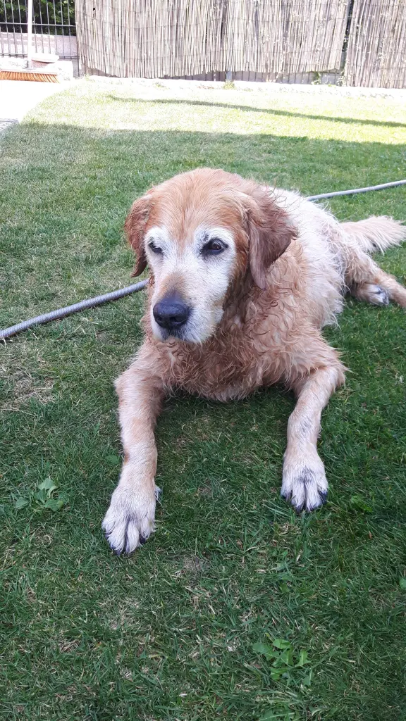 Andachtsbild von Micha mit Cäsar im Herzen