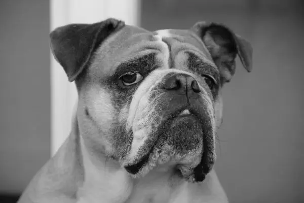 Andachtsbild von Grit und Emma im Herzen