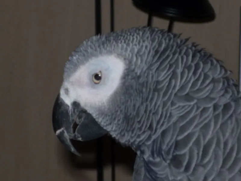 Condolence image of Jutta