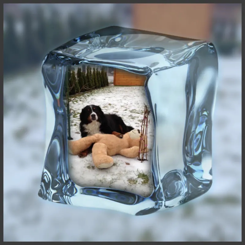 Condolence image of Dorin