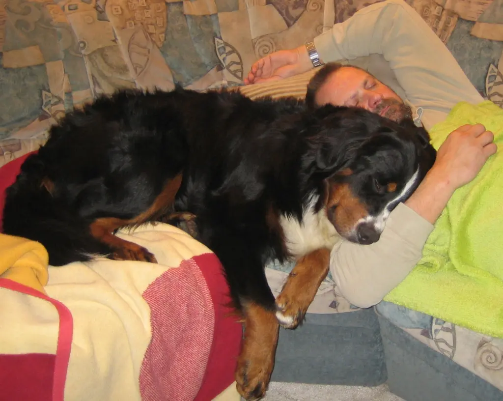 Condolence image of Deine Mami und Papi